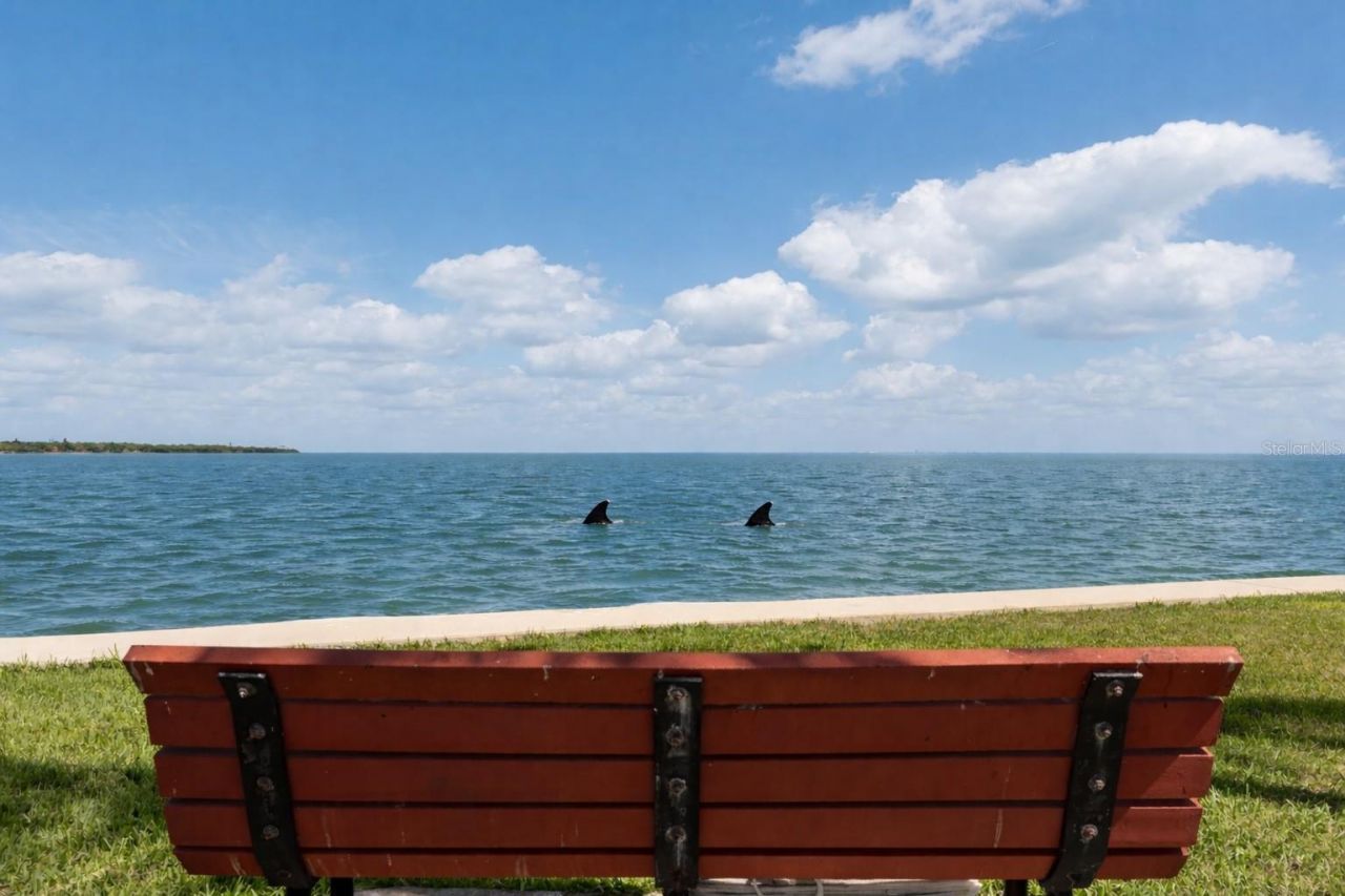 7540 Sunshine Skyway Lane S, Unit T35, Saint Petersburg, FL 33711 Photo