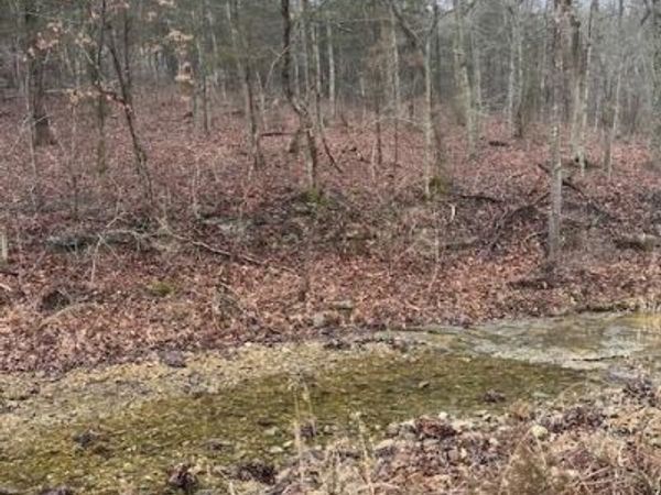 10131 State Road Bb, Hillsboro, MO 63050