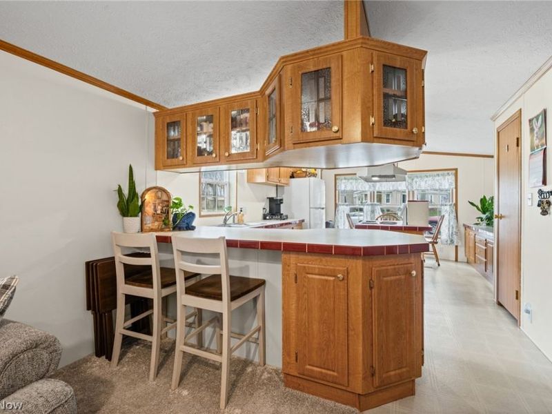 19 Brookins Drive , Olmsted Falls, OH 44138 Photo 8