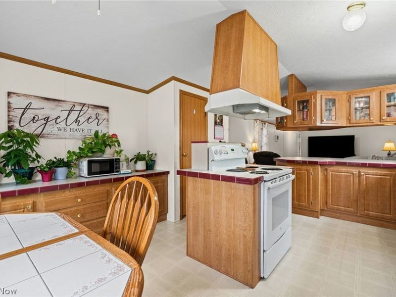 19 Brookins Drive , Olmsted Falls, OH 44138 Photo 9