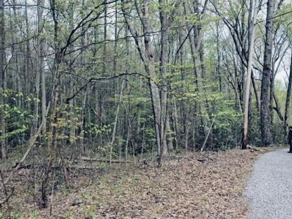 4046 Forest Trail Drive, Sevierville, TN 37876