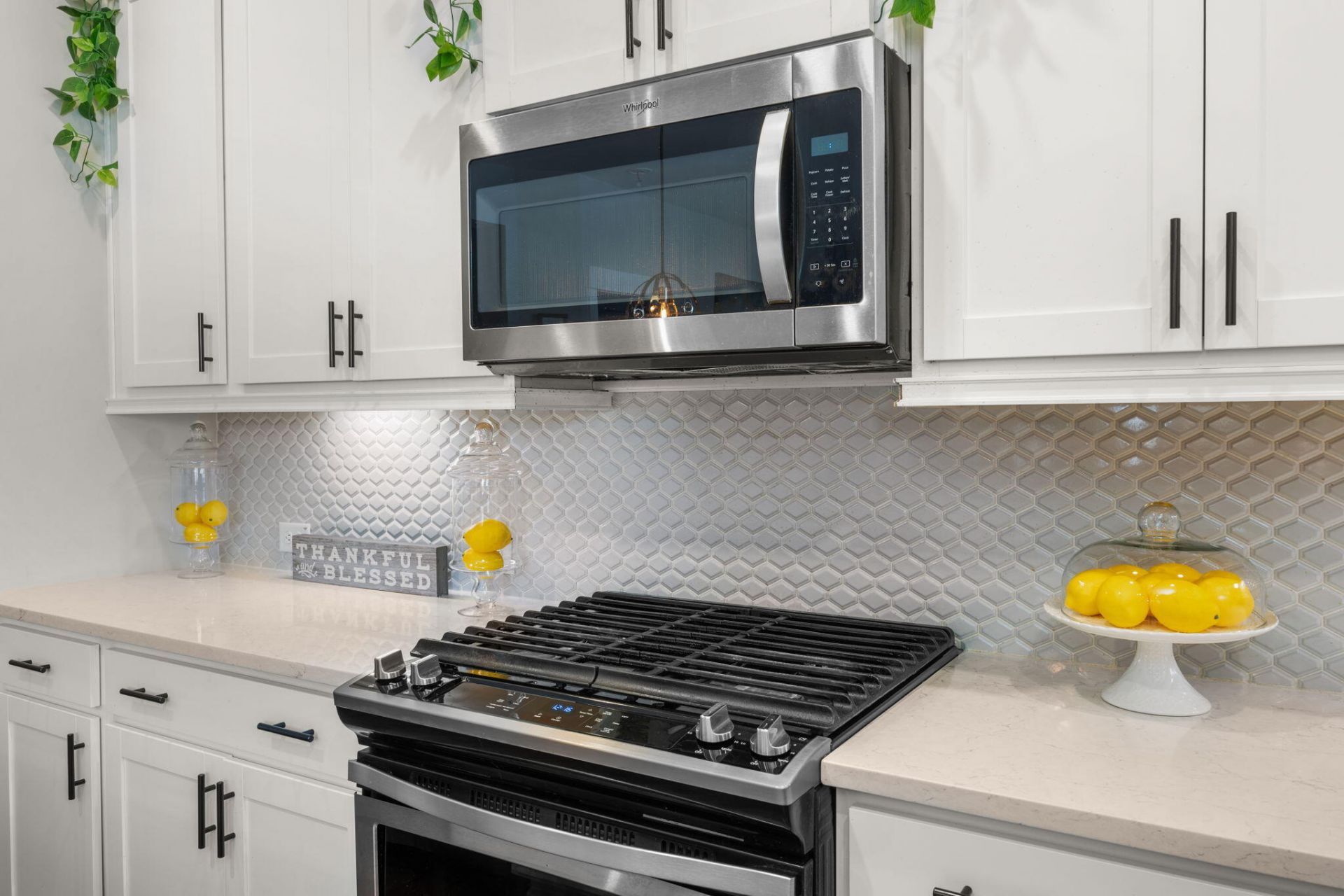 503 Scholar Way Photo 8