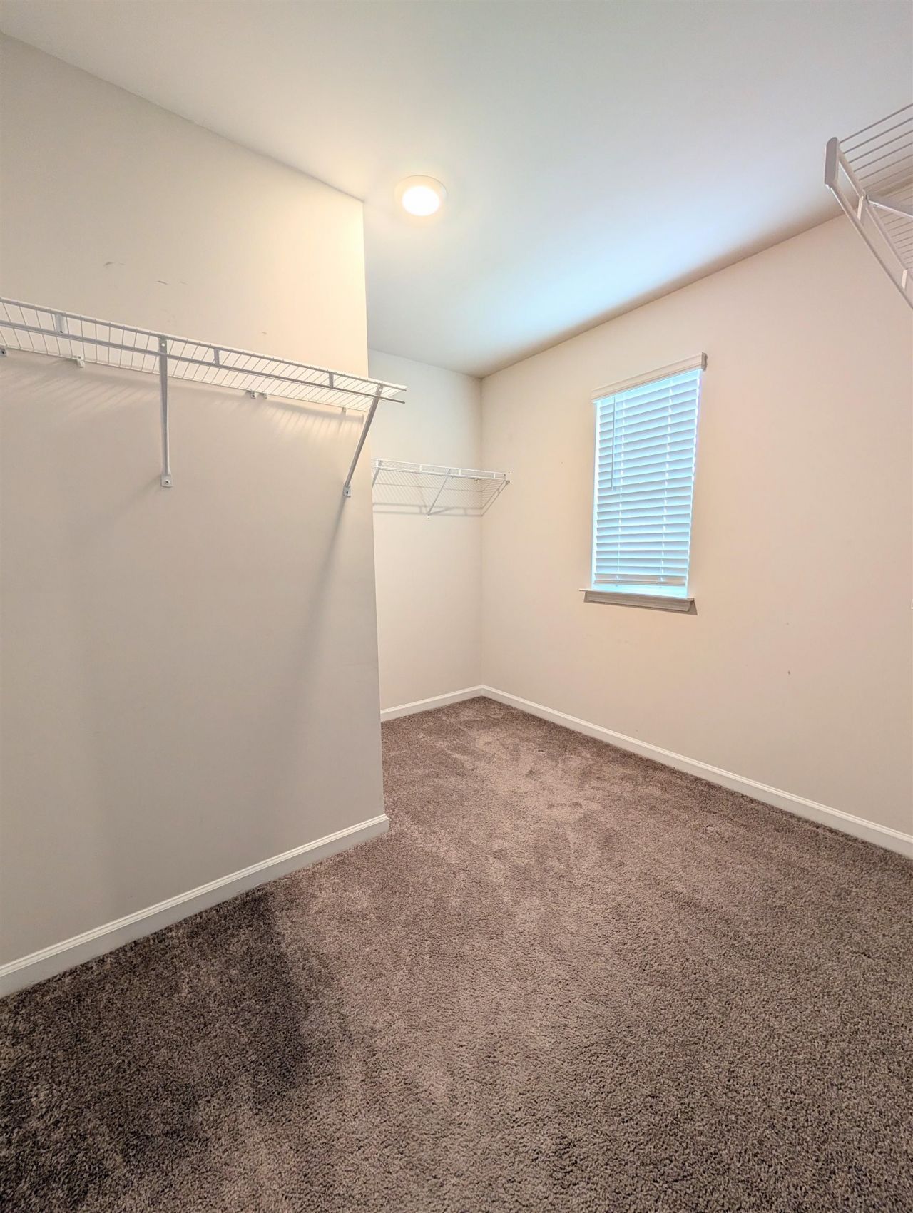 851 Woodland Farms Circle  Photo 21