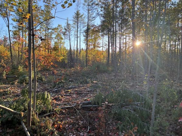Lot 16 (1) Whittier Road , Farmington, ME 04938