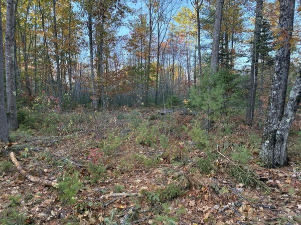 Lot 16 (2) Whittier Road , Farmington, ME 04938