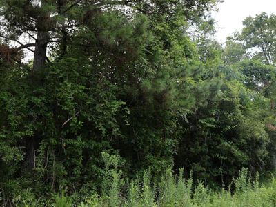 45 Partridge Road, Kingstree, SC 29556