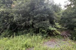 45 Partridge Road photo 4