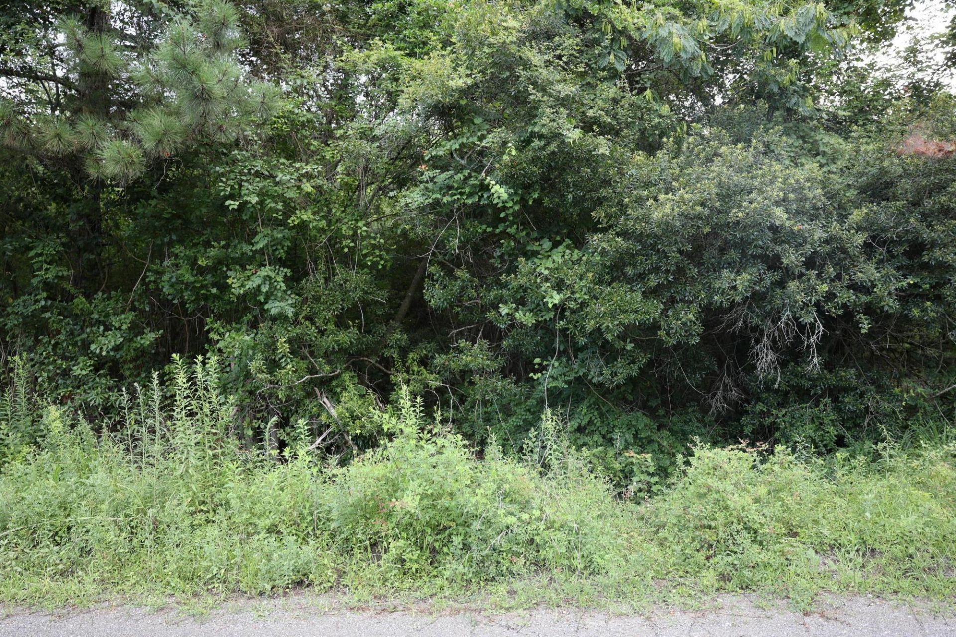 45 Partridge Road Photo 5