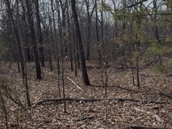 Brandy Lane, Tecumseh, OK 74873