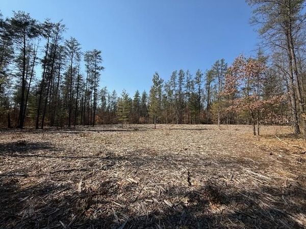 5209 S Nelson Road, Idlewild, MI 49642