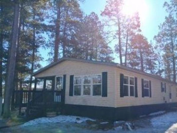 54432 Sandy River Drive, Leonard, MN 56652