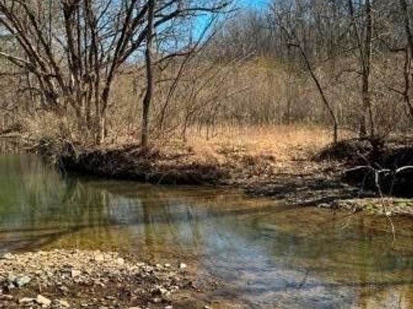 0 Brush Run, Avella, PA 15312