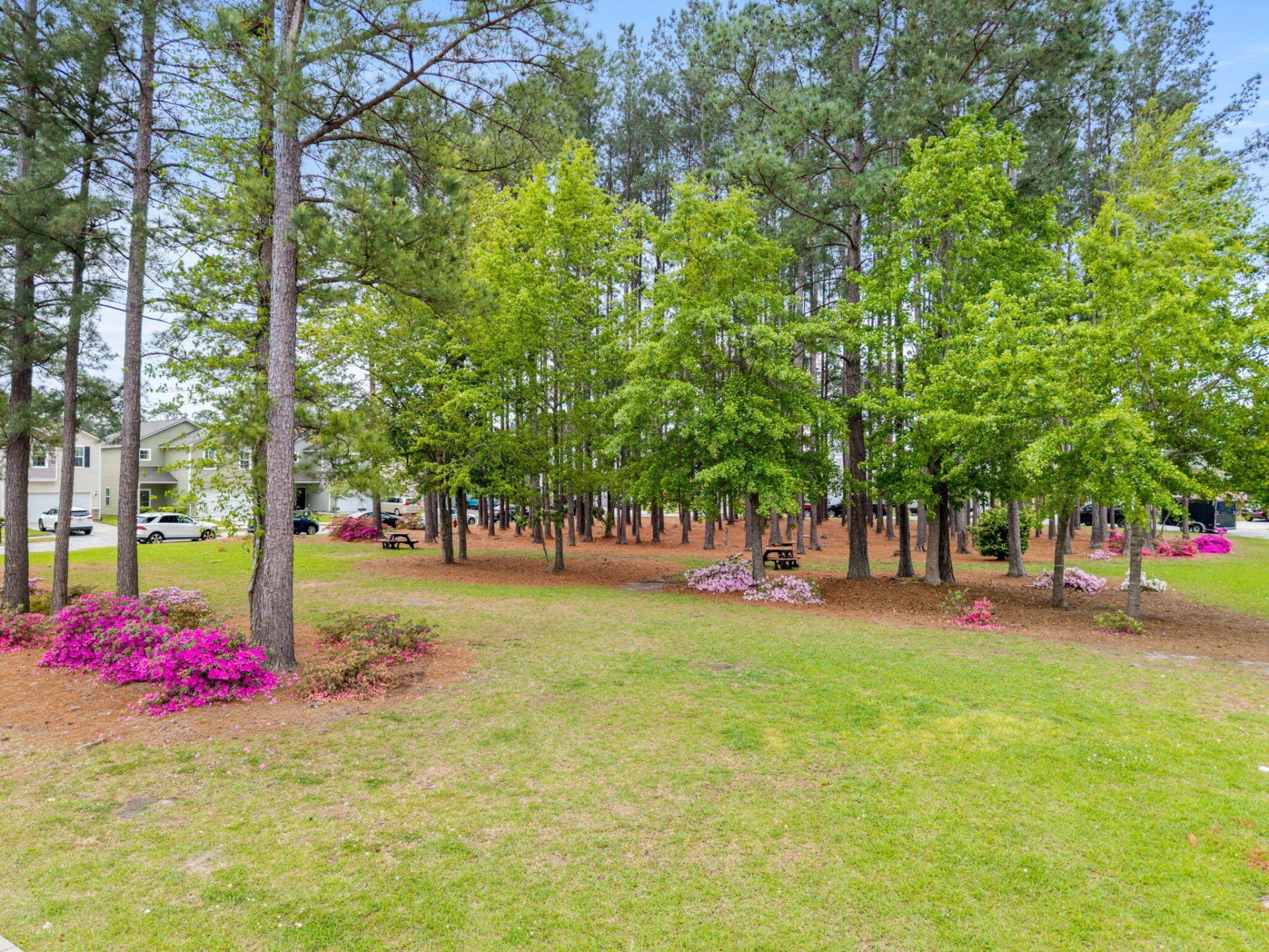 192 Brookhaven Road Photo 29