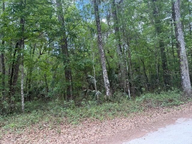Sw 75 Street, Archer, FL 32618 Photo