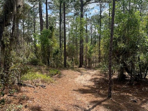 10TH STREET SE, WILLISTON, FL 32696