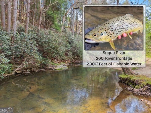 LOT 19 Soque Circle, Clarkesville, GA 30523