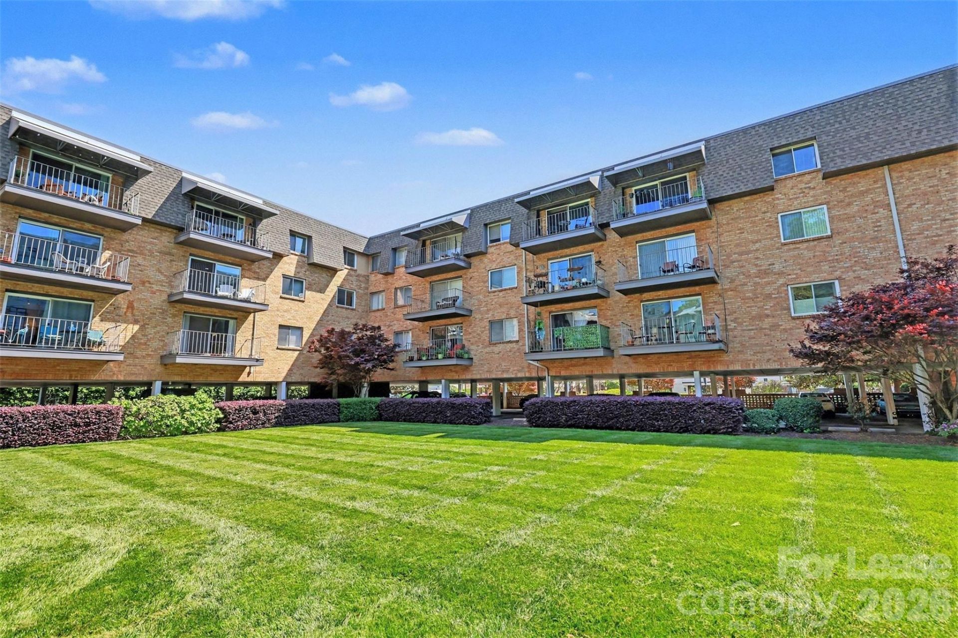 1323 Queens Road, Unit 227, Charlotte, NC 28207 Main Photo