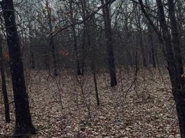 Brandy Lane, Tecumseh, OK 74873