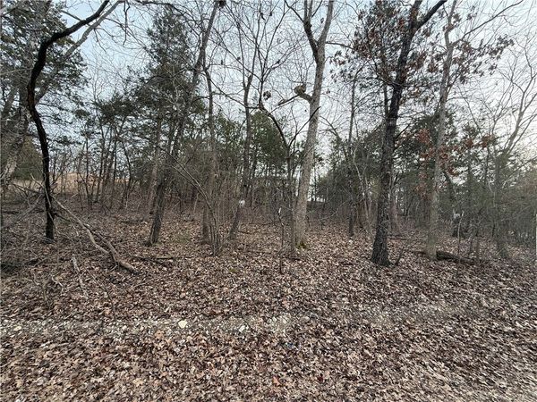 Mallard Drive , Diamond City, AR 72630