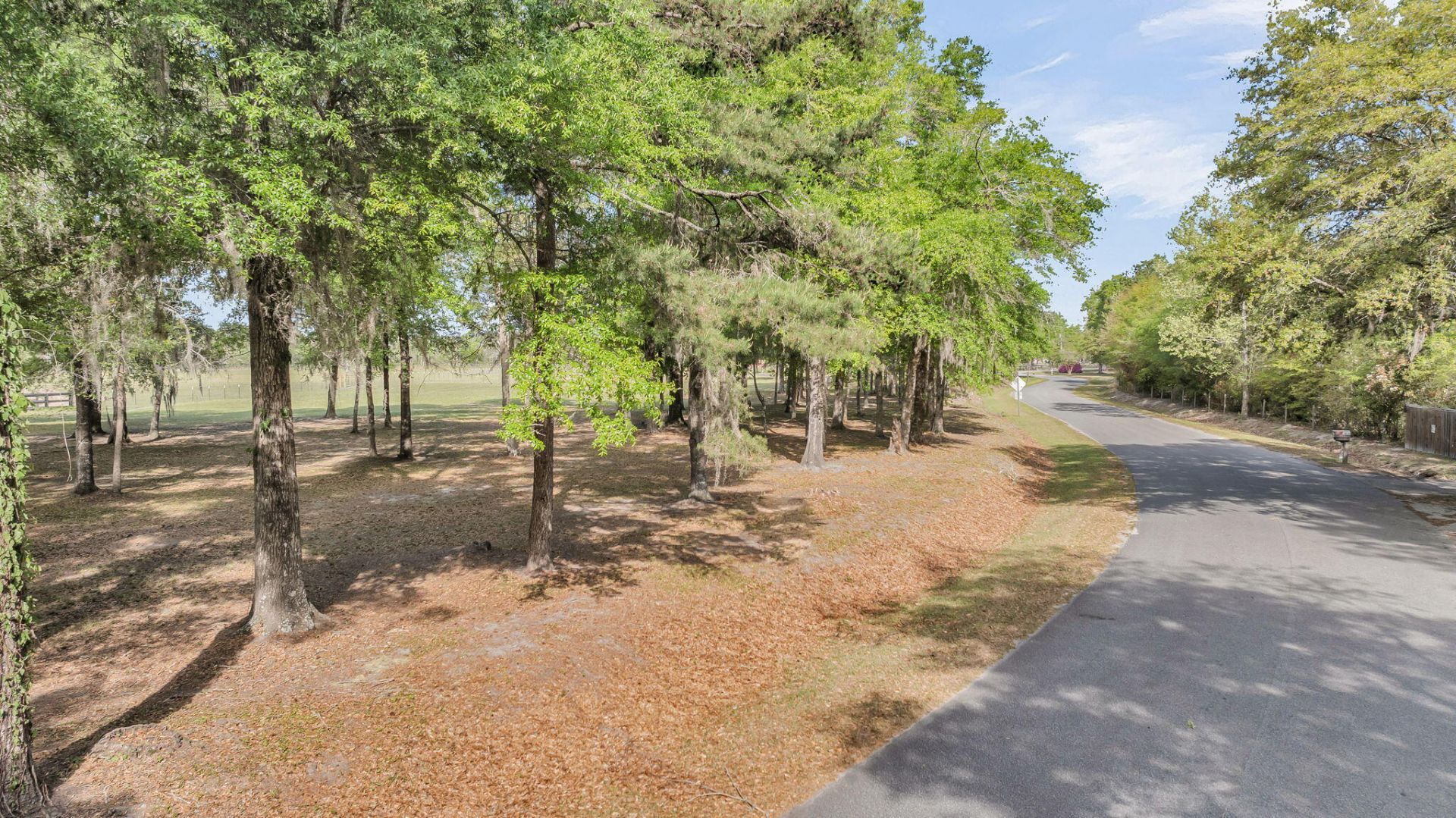 0 Camp Buddy Road Photo 16