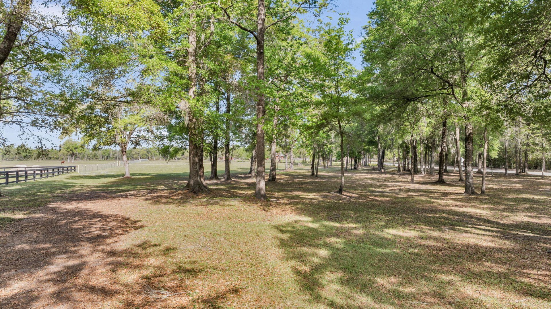 0 Camp Buddy Road Photo 17