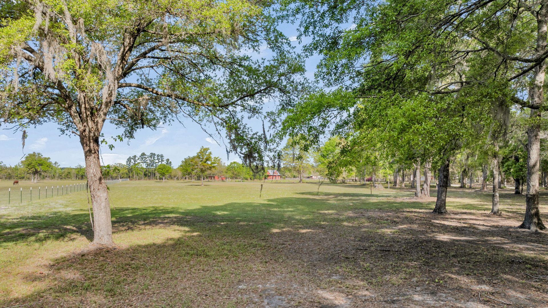 0 Camp Buddy Road Photo 18