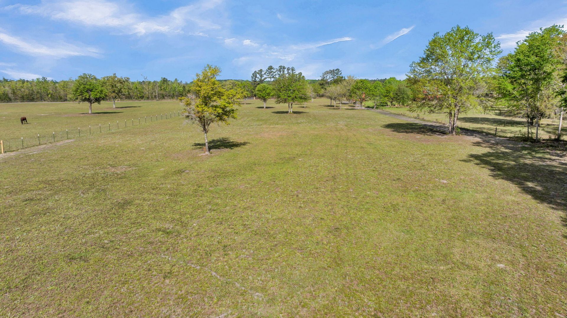 0 Camp Buddy Road Photo 20