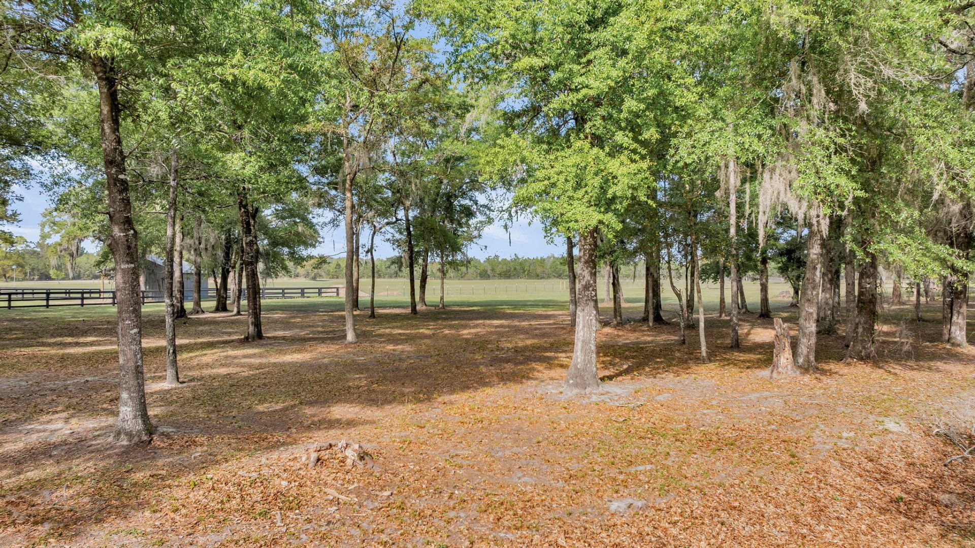 0 Camp Buddy Road Photo 4