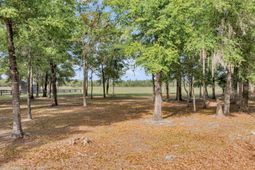 0 Camp Buddy Road photo 4