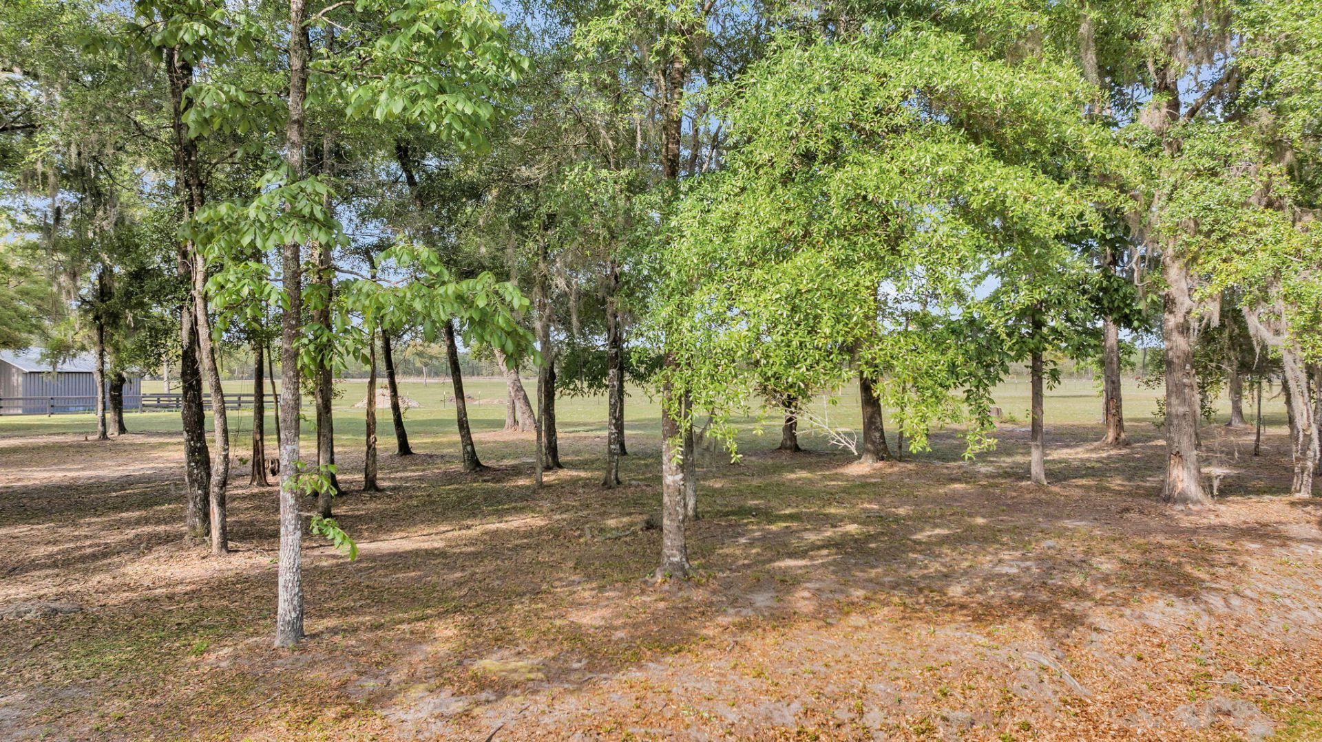 0 Camp Buddy Road Photo 5