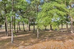 0 Camp Buddy Road photo 4