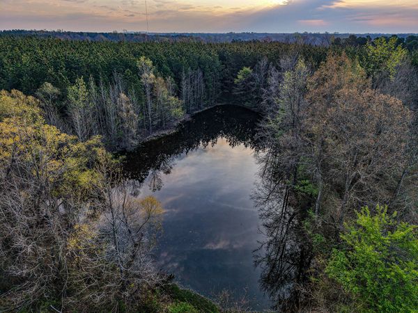 964 Hugh Mosley, Columbus, MS 39741