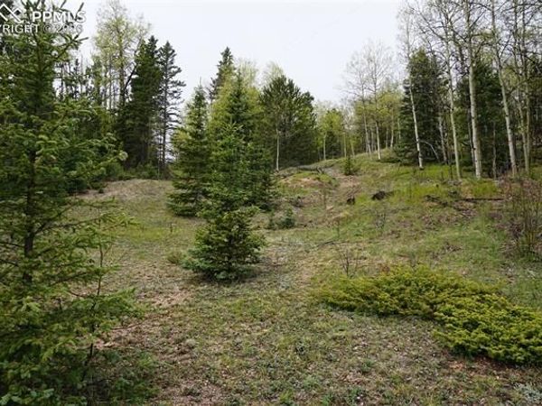 Vacant Land, Cripple Creek, CO 80813