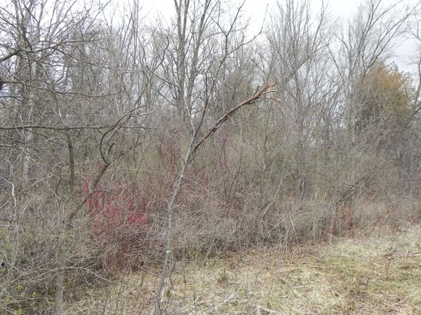 18180 W Dale Dr, New Berlin, WI 53146