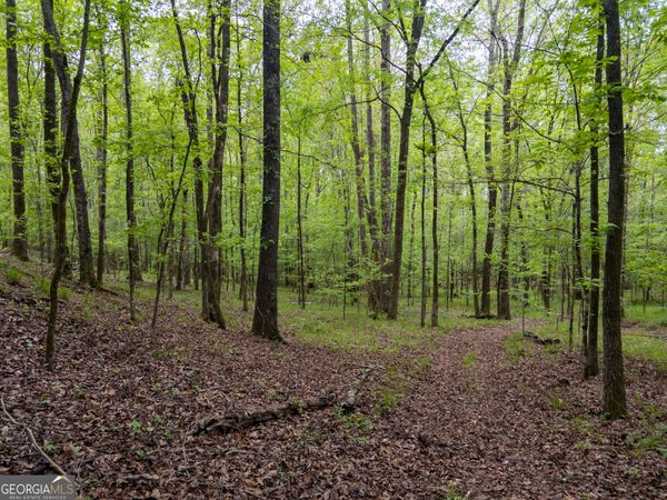 V/L Georgia Kaolin Road, Dry Branch, GA 31020