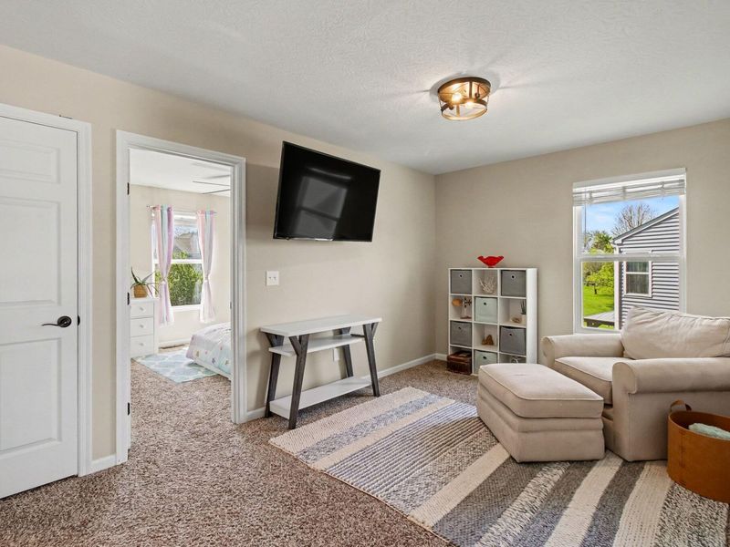 1335 Scottish Lane, Union, KY 41091 Photo 29