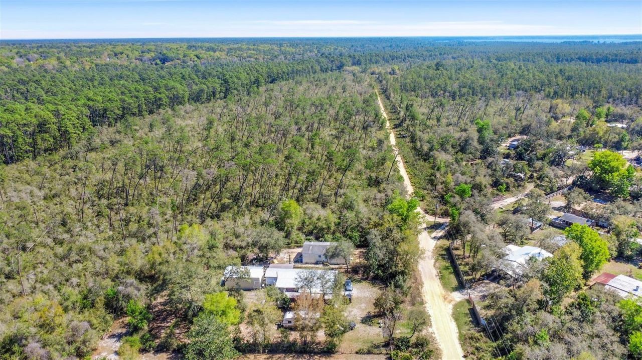19215 National Forest Sr 573 , Altoona, FL 32702 Photo