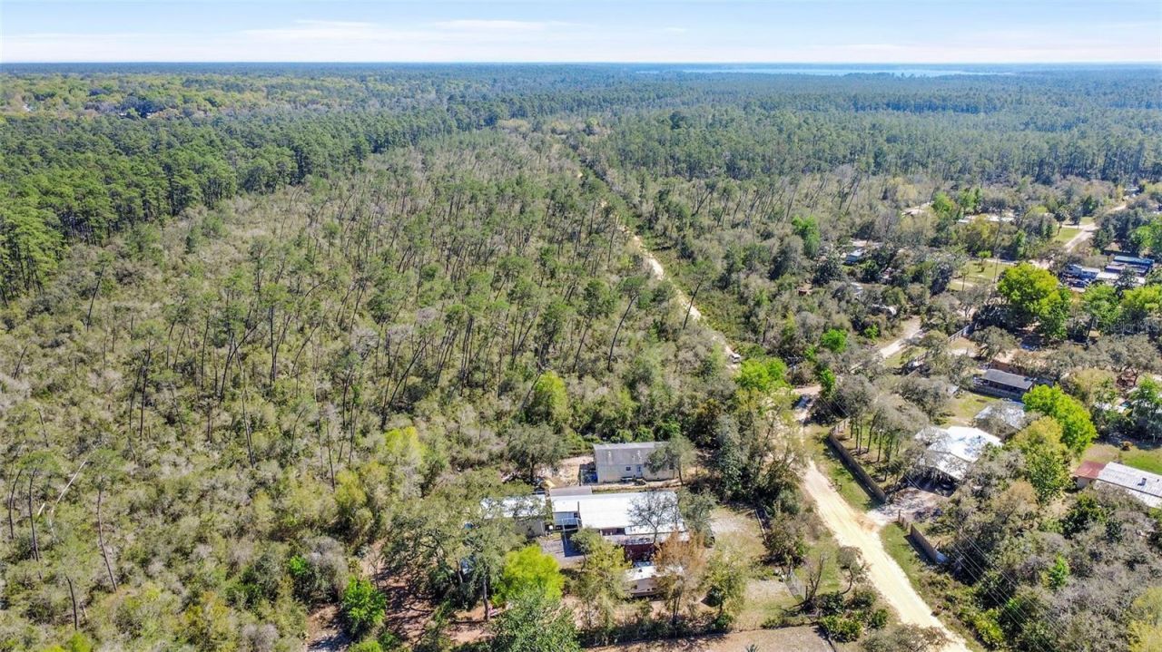 19215 National Forest Sr 573 , Altoona, FL 32702 Photo