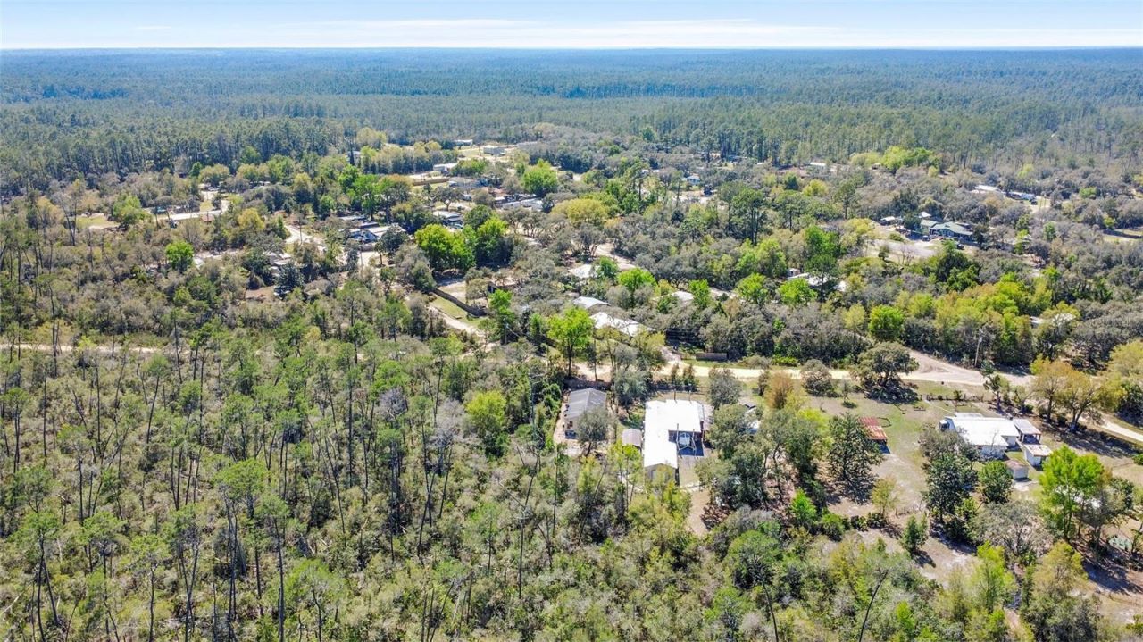 19215 National Forest Sr 573 , Altoona, FL 32702 Photo
