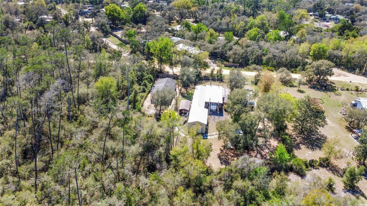 19215 National Forest Sr 573 , Altoona, FL 32702 Photo