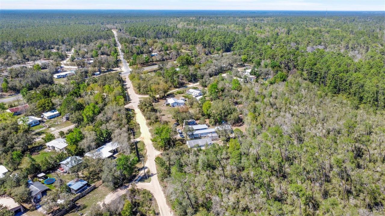 19215 National Forest Sr 573 , Altoona, FL 32702 Photo