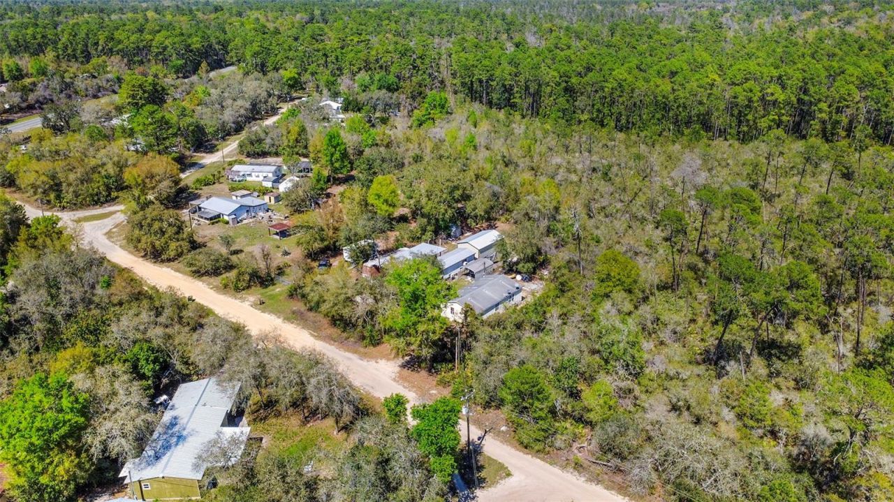 19215 National Forest Sr 573 , Altoona, FL 32702 Photo