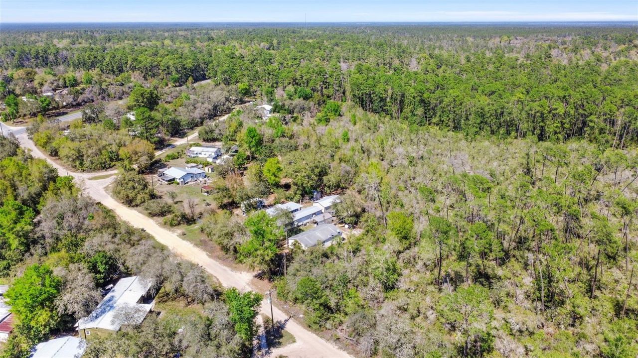 19215 National Forest Sr 573 , Altoona, FL 32702 Photo