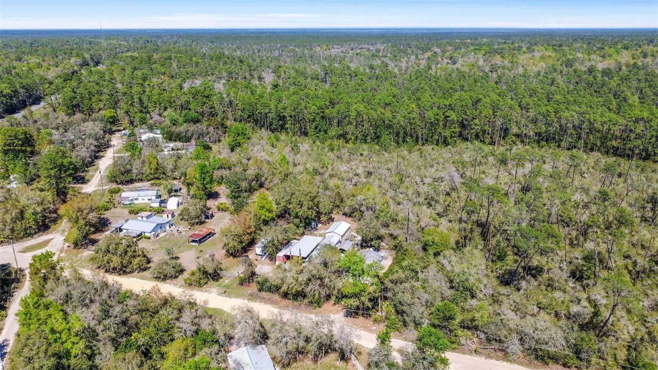 19215 National Forest Sr 573 , Altoona, FL 32702 Photo