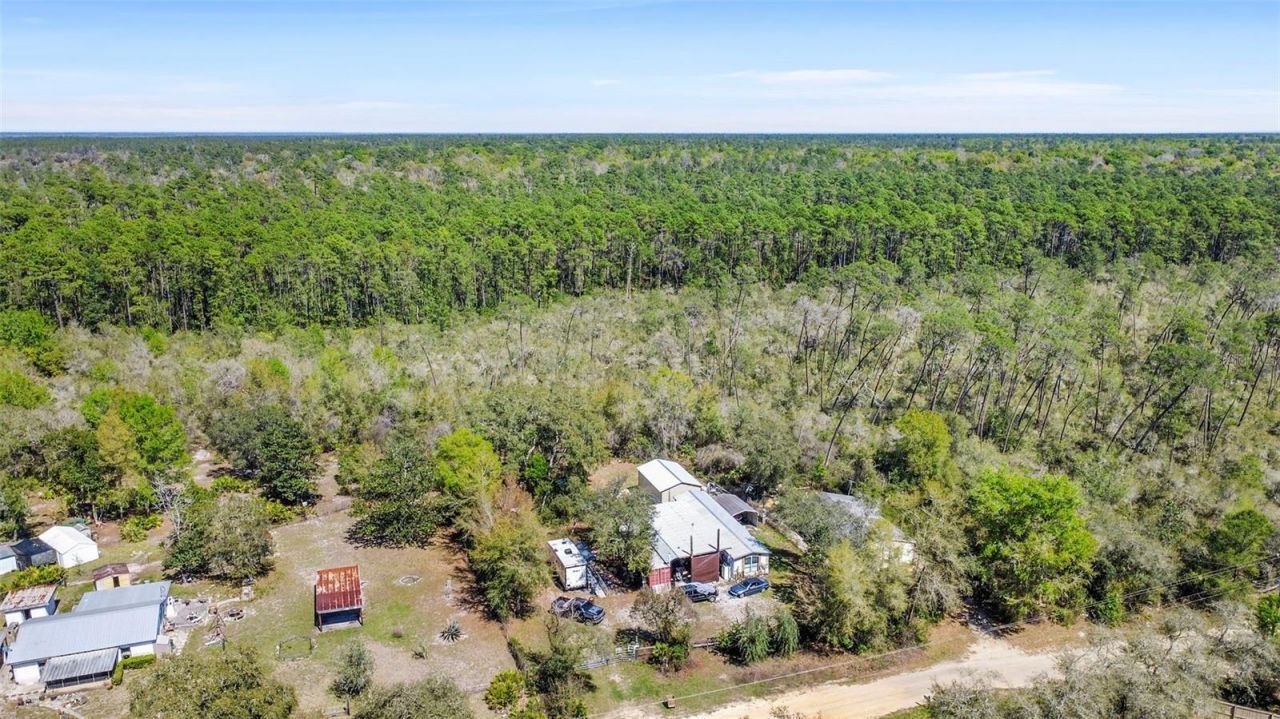 19215 National Forest Sr 573 , Altoona, FL 32702 Photo