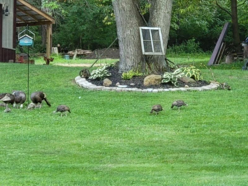 5095 Township Rd 398A, Somerset, OH 43783 Photo 58