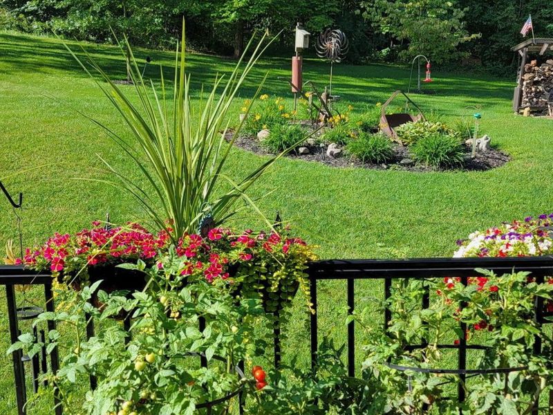 5095 Township Rd 398A, Somerset, OH 43783 Photo 59