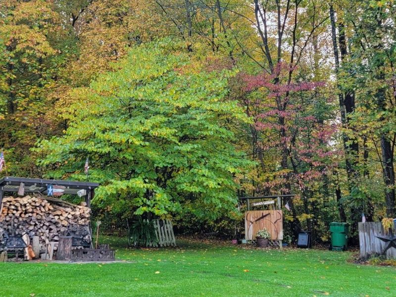 5095 Township Rd 398A, Somerset, OH 43783 Photo 63