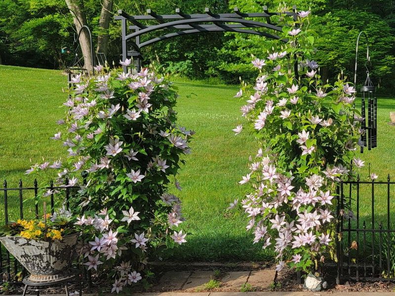 5095 Township Rd 398A, Somerset, OH 43783 Photo 65