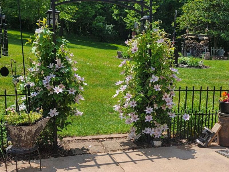 5095 Township Rd 398A, Somerset, OH 43783 Photo 70